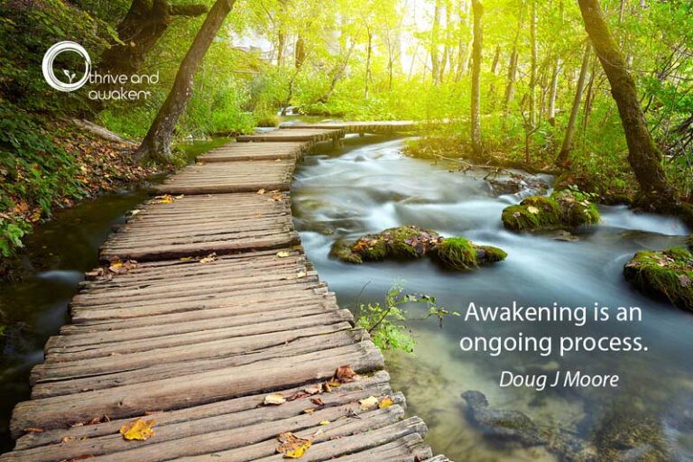 walkway next to a stream with the saying: awakening is an ongoing process